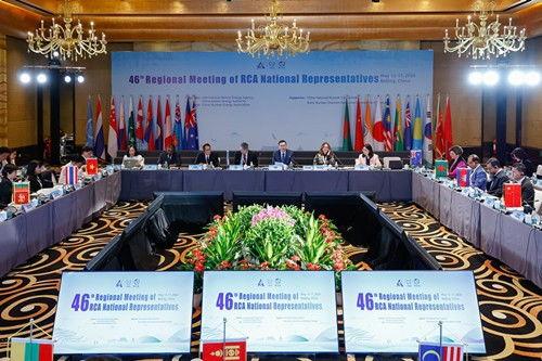 国家代表,展现民族精神与时代风貌