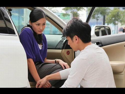 完美丈夫 2004,揭秘现代婚姻的甜蜜与挑战