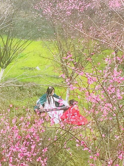 楚与花,探寻古典与现代的交融之美