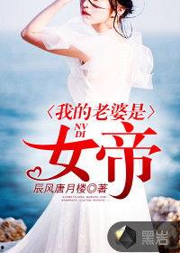 我的老婆是女帝,宫廷权谋与爱恨交织的传奇人生